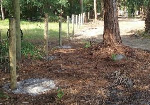 aaaqualityfencefla.com-gallery-fd-05